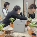 실내식물관리사 2급 자격증 과정 이미지