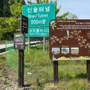 백골 티스토리