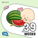 조재하우스 | [39주 건똑]너 내일 방 빼는거야. D-1.
