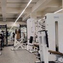 라이크 짐 이미지