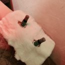 진인한의원 이미지