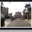 블루아라(I) 이미지