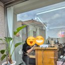 카페써니 이미지