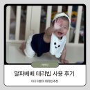 알파베베 유령빕 후기｜흡수력 좋은 테리빕, 아기 턱받이 추천