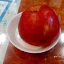 강남-153 이미지