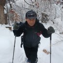 호미 (Homi) Daum카페