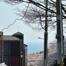 [달맞이길 가볼만한곳] 에케 - 메종본에, 사이에베이크 방문 후기
