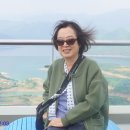석곡(분회) Daum카페