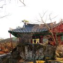 시조마을 이미지