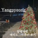 도그-in 하우스 | 양평여행 양평애견동반펜션 메리도그하우스 A타입 후기