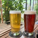 신흥 인 허브 이미지