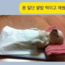 야끼니꾸바남풍