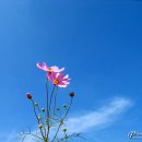 가을하늘 이미지