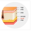(주)광원메디칼 | 듀얼소닉 맥시멈 모드별 기능분석 | LED 파장별 효과와 하이푸 리프팅 원리 혼자서도 끌어올려~