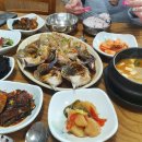 남정골 Daum카페