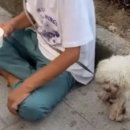 냥냥댕댕 이미지