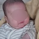 하박사약국 | 짧디 짧은 2월