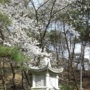 영천 죽림사 철조여래좌상 이미지