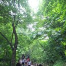 소양초병설유치원 이미지