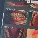 대봉목장 | 9월의 마지막주 / 글레이즈드 음료가 나왔다는 건 = 가을이 왔다!