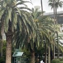 몽그레 - 목포시 부흥로 48 | 제주공항 근처 카페 몽그레 제주공항점 후기 리뷰