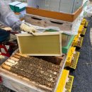 내검농장 이미지