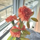 (주)베이커리라리 | 아침메뉴 식단일기 5월의 일상 기록 벌써 상반기가 호다닥
