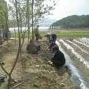 다리목농장 이미지