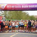 서산시체육회, 2023 서산 코스모스 황금들녘 마라톤대회 성황리 마쳐!(서산태안신문) 이미지