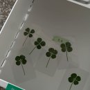 행운감자탕 이미지