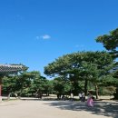 명정공부방 | [서울] 아이와 함께 가볼만한 곳, 창경궁(feat. 야간 개장)