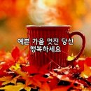 콕. 일등일까요 이미지