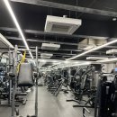 하이바디 필라테스PT 이미지