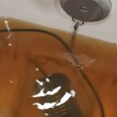 힐링엔젤스울산