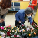 우쿨렐레교실-초급 이미지