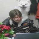 복슬강아지 이미지