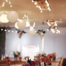 메종드비 이미지