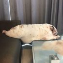 도시락이야기 이미지