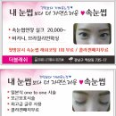수정옷집 - 강릉시 구시장길 5-4 | 수정옷집