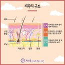 편백한의원 이미지