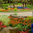 용산-259 이미지