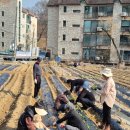 진숙농장 이미지