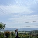 북토리스테이 | 경주 북토리스테이 촌캉스 숙소 바베큐 불멍 대가족 펜션