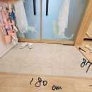 캣 팰리스 이미지