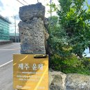 제주윤채