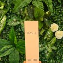 노아약국 | 오돌토톨 피지 피부 요철 개선 파리노아 율무크림