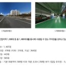 펫맘사랑