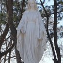 성지ENG 이미지