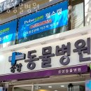 중앙동물병원 - 사천시 중앙로 54-1 | 중앙동물병원