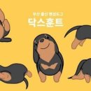 펫친구 네이버블로그